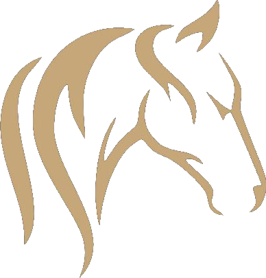 Stallions Academy Logo