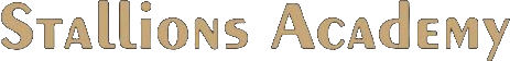 Stallions Academy